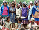 178 A gathering of girls 800
