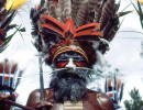 7 Birds of Paradise feathered head dress 800