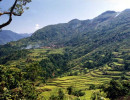 56 Mountainside covered by rice terraces on Luzon Island in the Philippines 800
