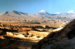 mo 104 chile 800