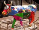 classy cow 11 800