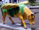 classy cow 8 800