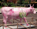 classy cow 32 800