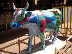 classy cow 35 800
