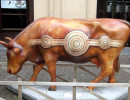 classy cow 43 800