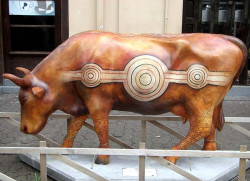 classy cow 43 800