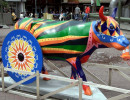 classy cow 48 800