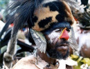 102 Bird Wing Ears 800