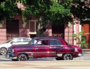 1951 chevy 800