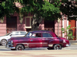 1951 chevy 800