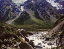 41 in the south island of new zealand 800