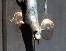 22 brass lion    on a door in concepcion  chile 800