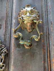 cuba lion 1 800