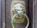 cuba lion 3 800