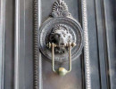 img 5066 800