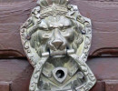 img 5336 800