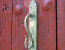 img 5547 800