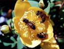 14 Honey bees collecting nectar 800