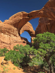 arches np 22 800