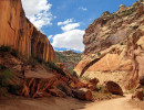 capitol reef np 44 800