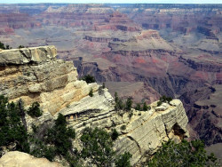 grand canyon 4 800