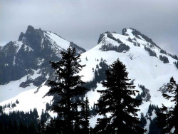 mt. ranier 1 800