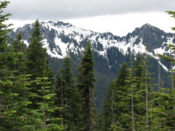 mt. ranier 15 800