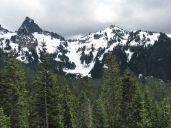 mt. ranier 18 800