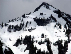 mt. ranier 8 800