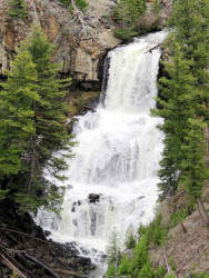 yellowstone national park   wyoming 23 800
