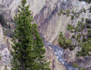 yellowstone national park   wyoming 26 800