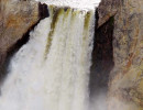 yellowstone national park   wyoming 36 800