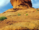 horseshoe bend state park 6 800