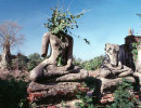 3 enlightened buddhist statue with a plant growing out of the head 800