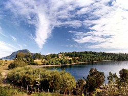 20 edge of a lake on the north island of new zealand 800