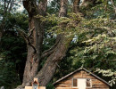 21 log cabin church in the lake district of chile 800