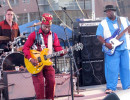 lil  ed with the blues imperials 800