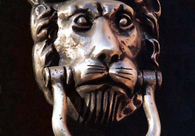 Lions