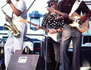albert collins  3 