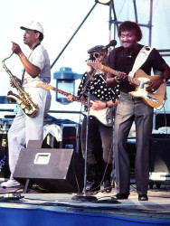albert collins  3 