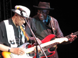 bob stroger 7