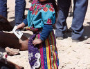 6 young girl tending the pigs