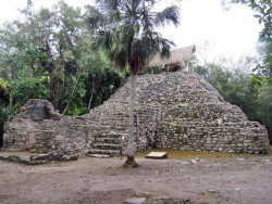 coba