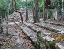 coba