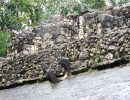 coba