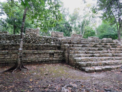 coba