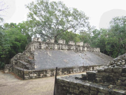 coba