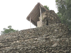 coba