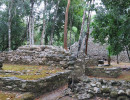 coba