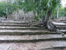 coba